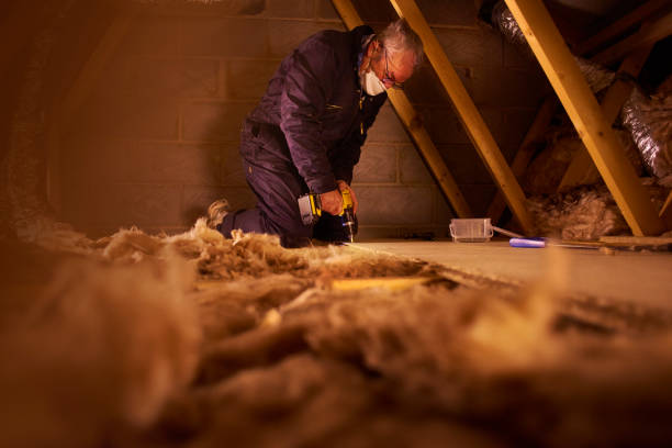 Insulation Inspection Services in Warsaw, KY